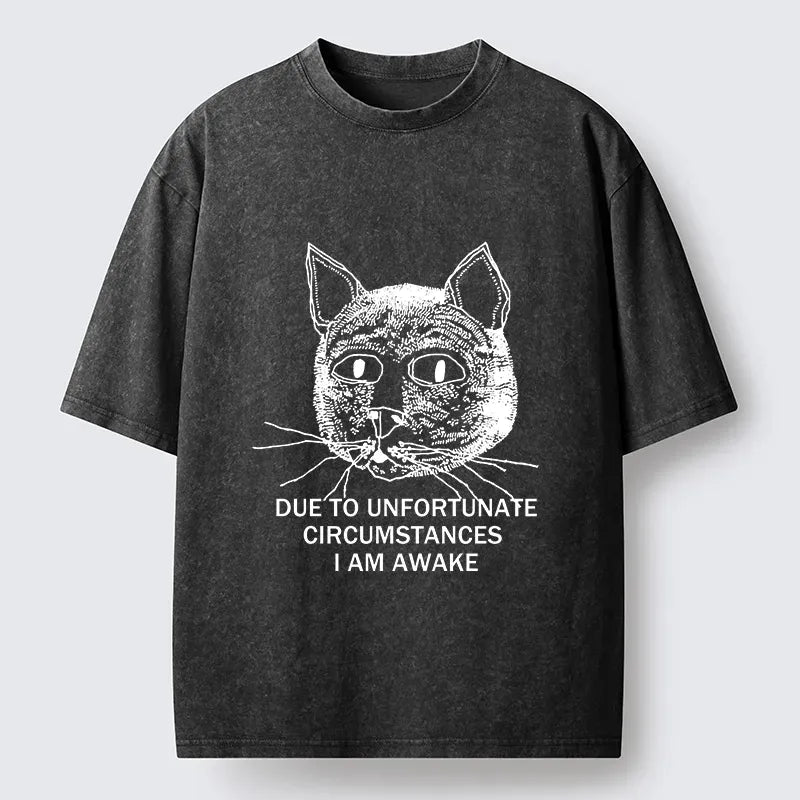 Kyoto-Lion Paying The Price Of Waking Up Washed T-Shirt