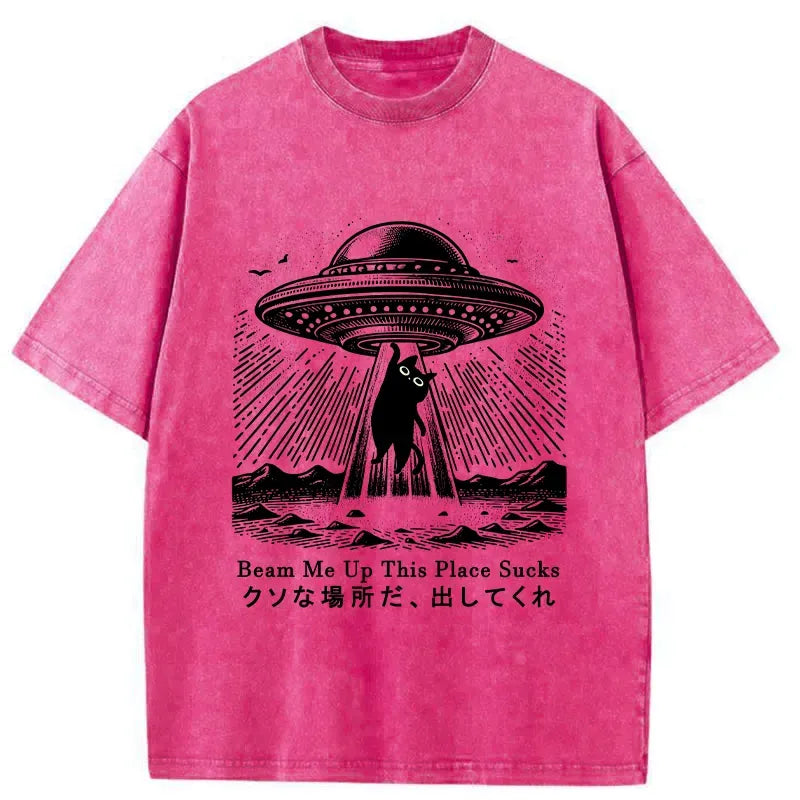 Kyoto-Lion Please Take Me Away Washed T-Shirt