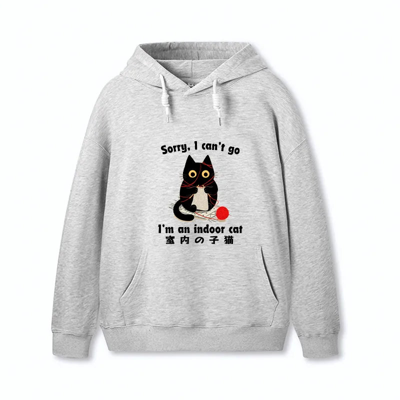 Kyoto-Lion Indoor Cat Meme Classic Hoodie