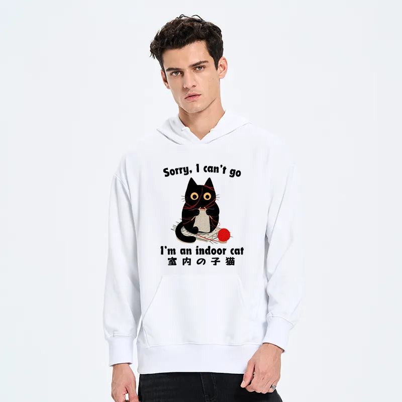 Kyoto-Lion Indoor Cat Meme Classic Hoodie