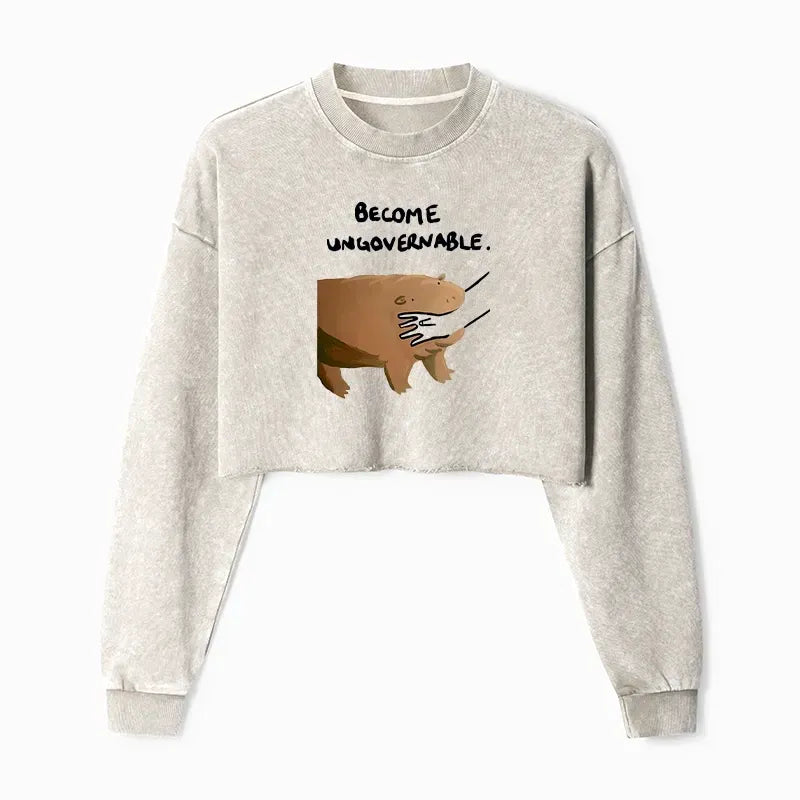 Japanese Vintage Crop Sweatshirt