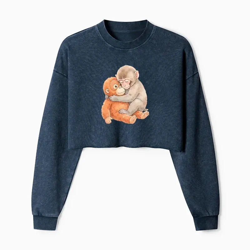 Japanese Street Style Washed Crop Sweatshirt