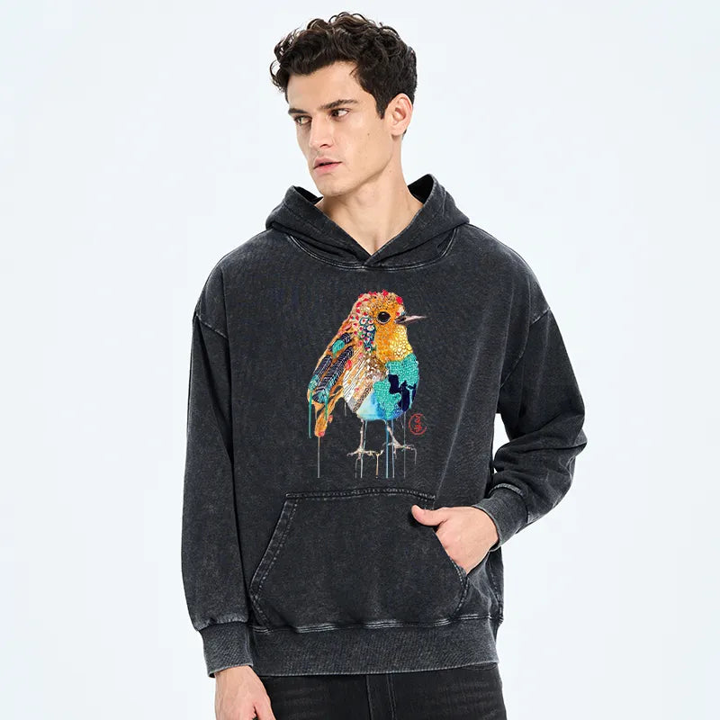 Kyoto-Lion Sparkly Wild Bird Washed Hoodie