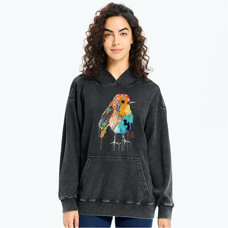 Kyoto-Lion Sparkly Wild Bird Washed Hoodie