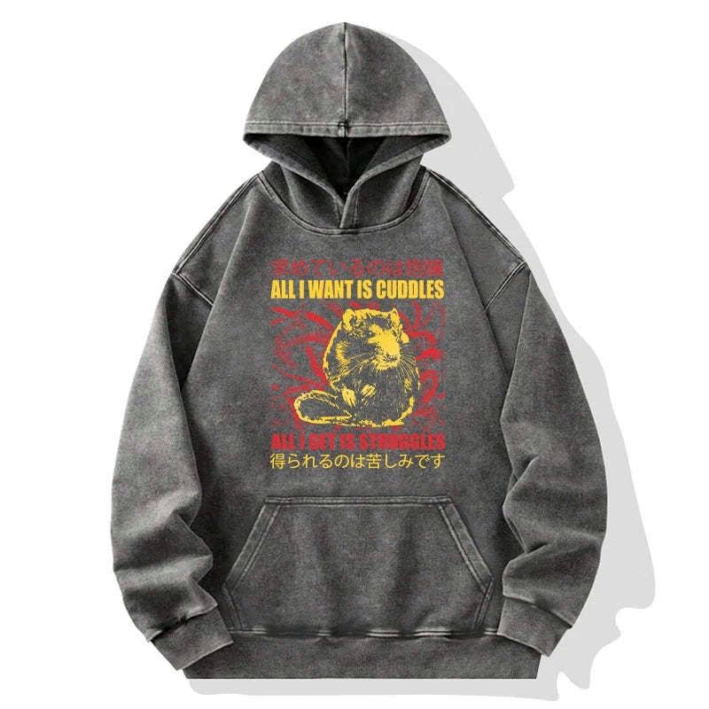Japanese Washed Hoodie for Streetwear