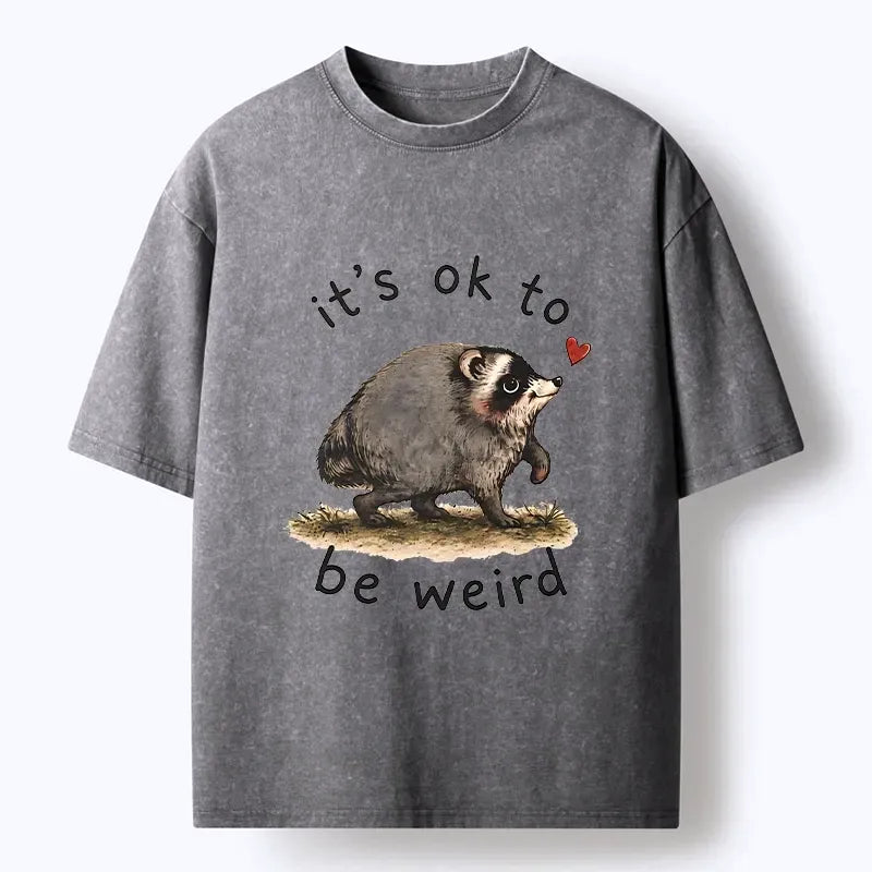 Kyoto-Lion Jimothy Weird Raccoon Art Washed T-Shirt
