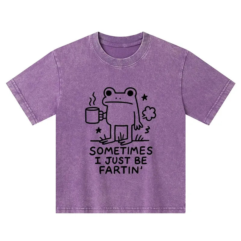 Kyoto-Lion Sometimes A Frog Just Needs To Fart Kids Washed T-Shirt