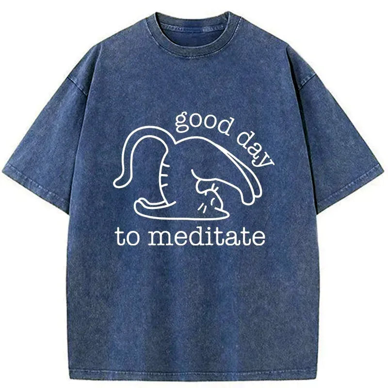 Kyoto-Lion Cats Doing Yoga Washed T-Shirt
