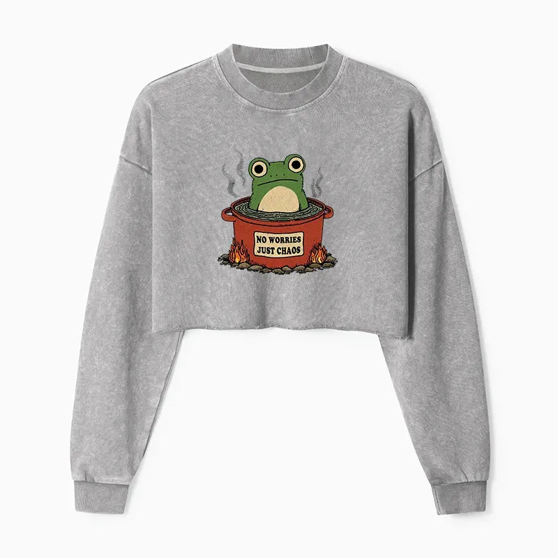 Washed Crop Sweatshirt Free Shipping