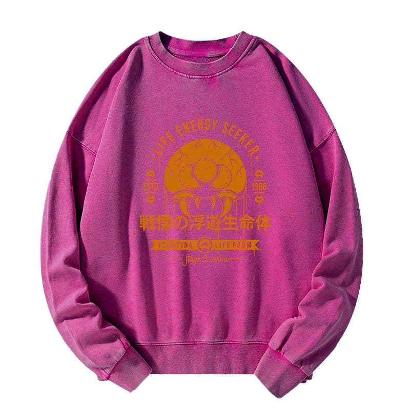Kyoto Lion washed sweatshirt for daily wear