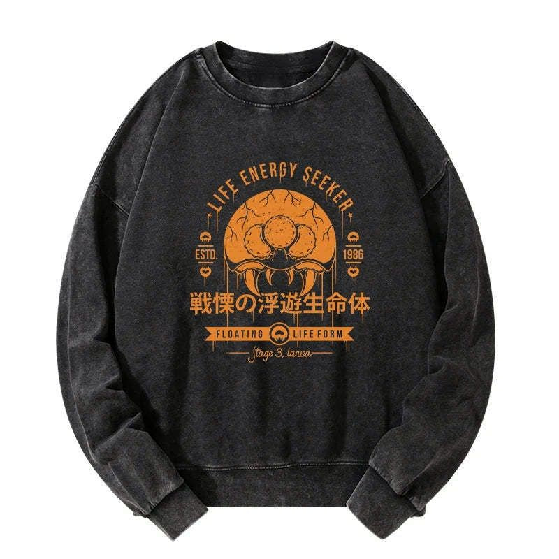 Kyoto Lion washed sweatshirt for daily wear