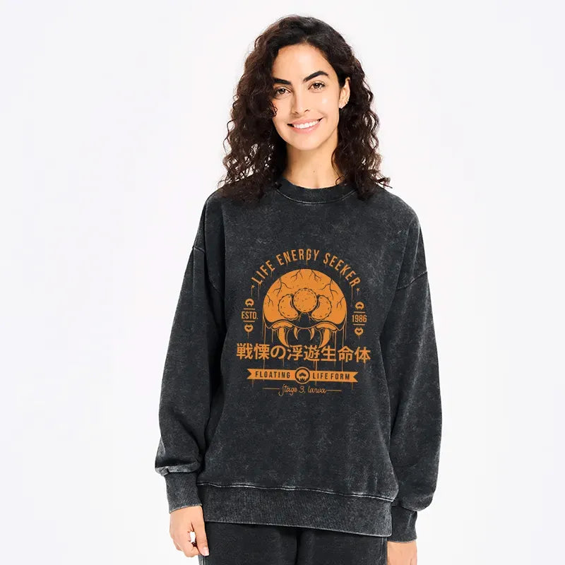 Kyoto Lion washed sweatshirt for daily wear