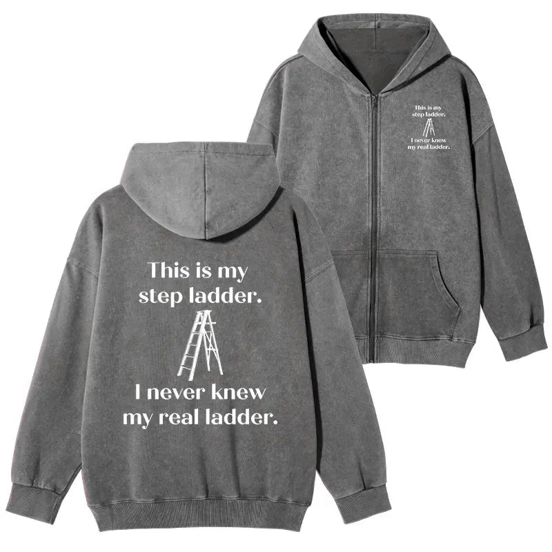 Kyoto-Lion A Real Ladder Funny Washed Zip Hoodie