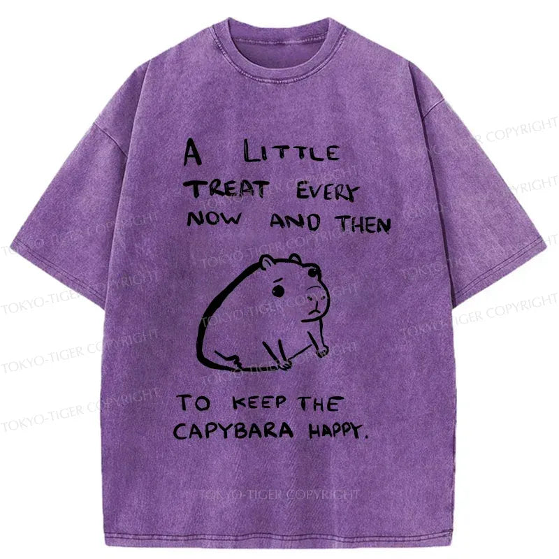 Kyoto-Lion Keep Capybara Happy Washed T-Shirt