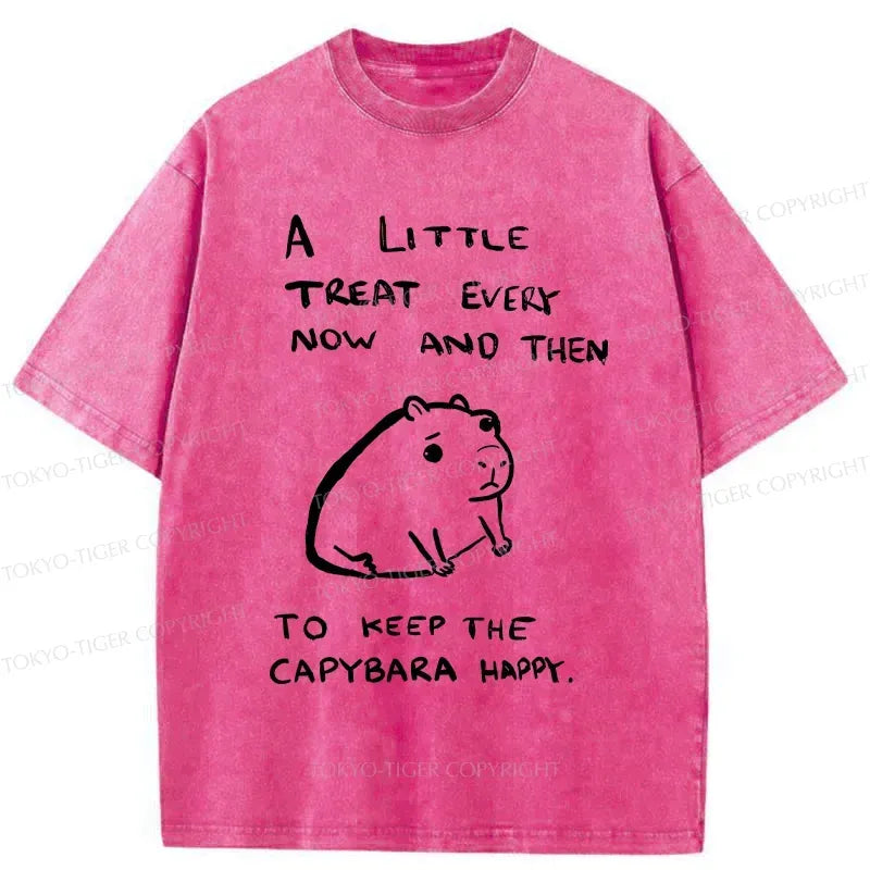 Kyoto-Lion Keep Capybara Happy Washed T-Shirt