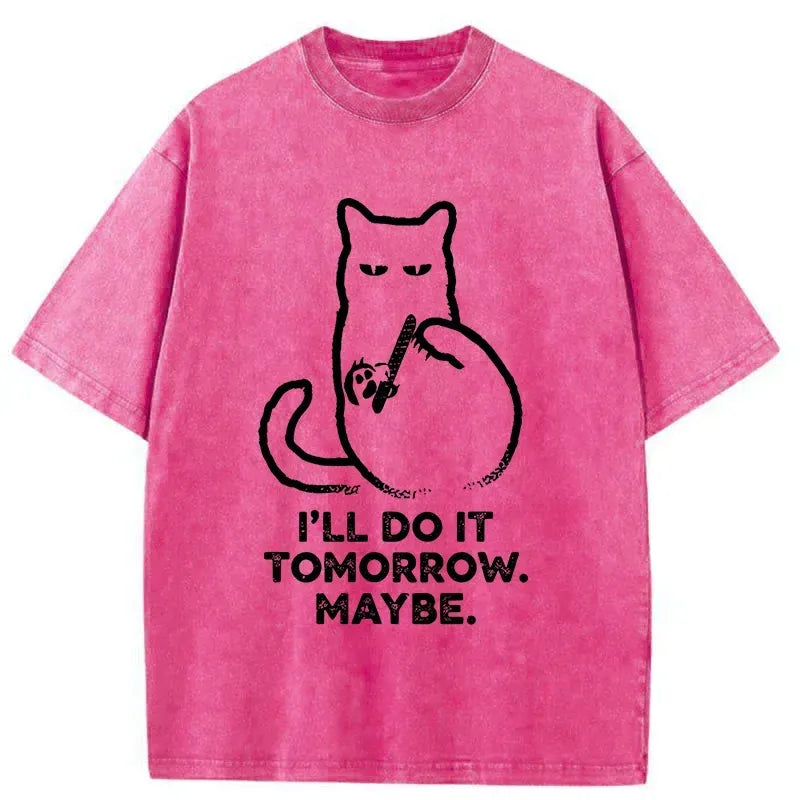 Kyoto-Lion Do It Tomorrow Washed T-Shirt
