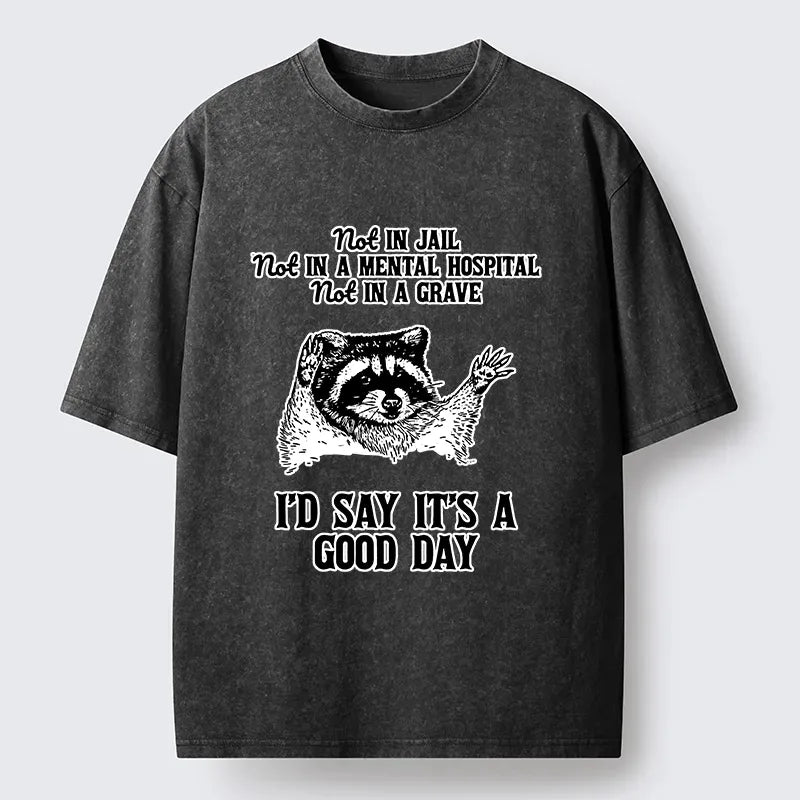 Kyoto-Lion Cherish The Present Funny Washed T-Shirt