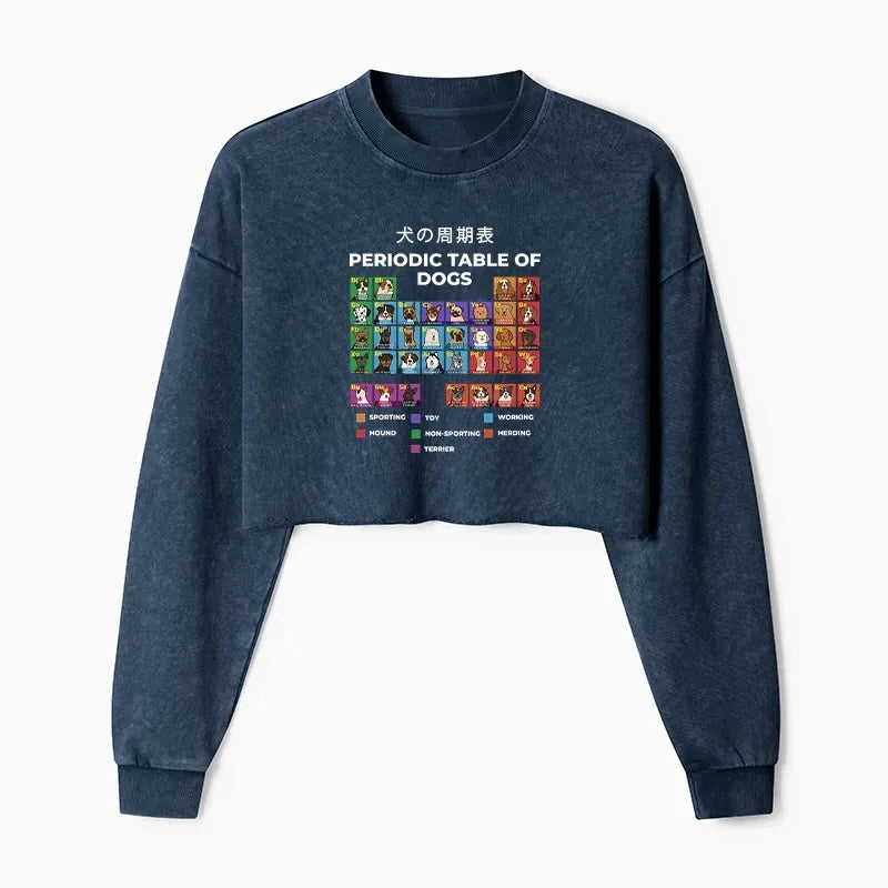 Kyoto-Lion crop sweatshirt gift for her