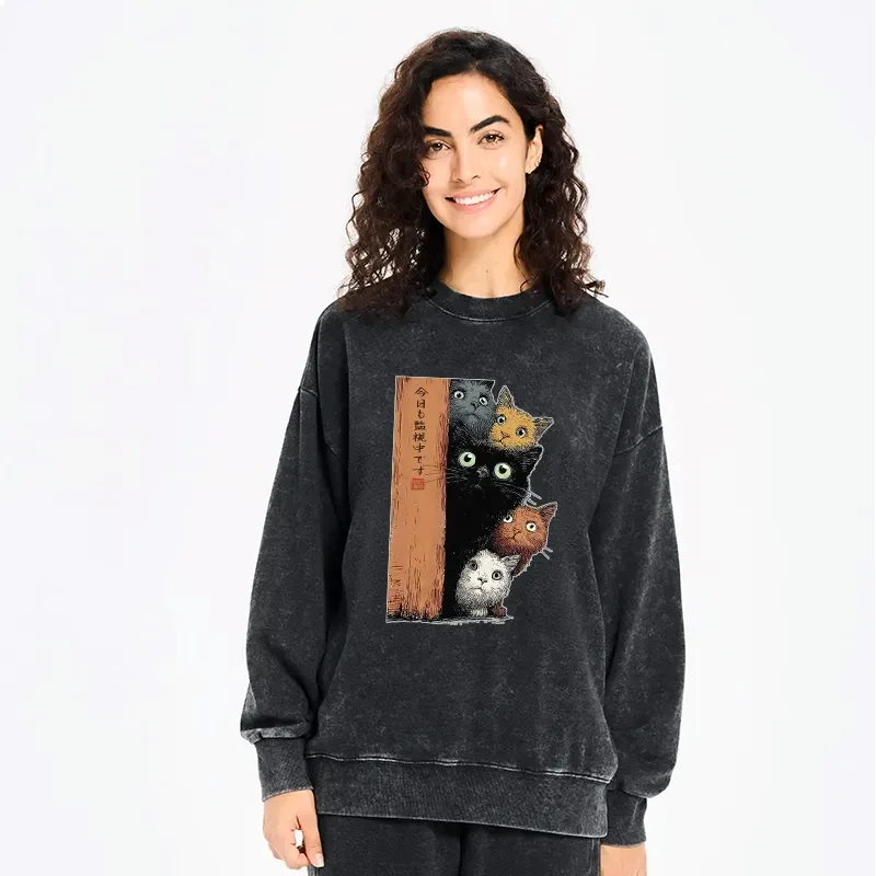 Kyoto-Lion Five Cats Are Watching You Washed Sweatshirt