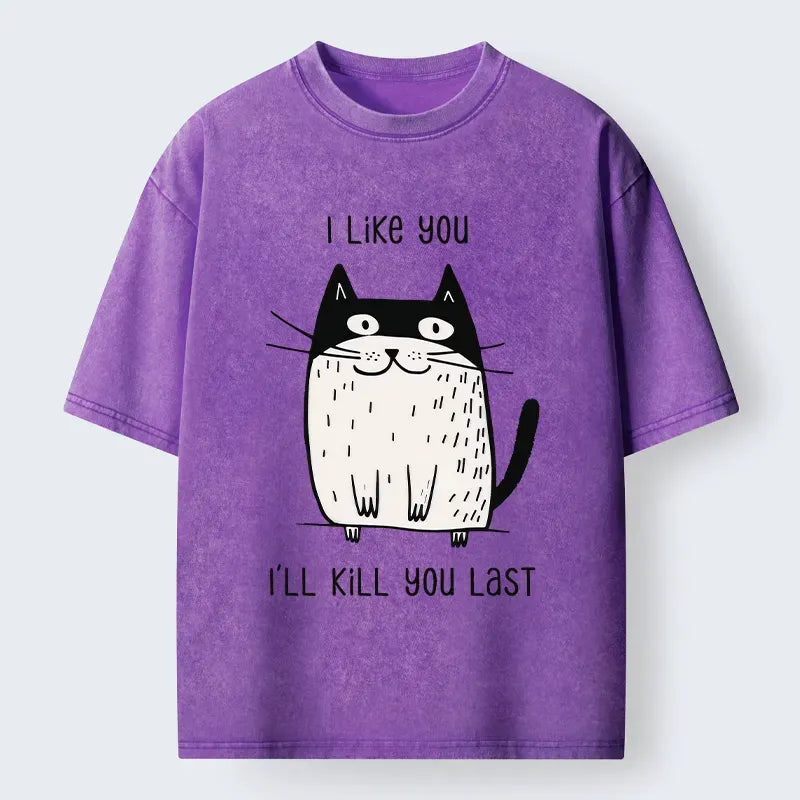 Kyoto-Lion Cats Both Love And Hate Washed T-Shirt