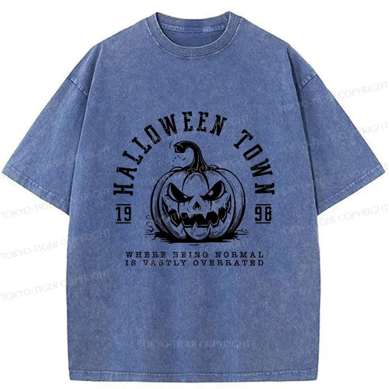 Kyoto-Lion Unisex T-Shirt for Daily Wear