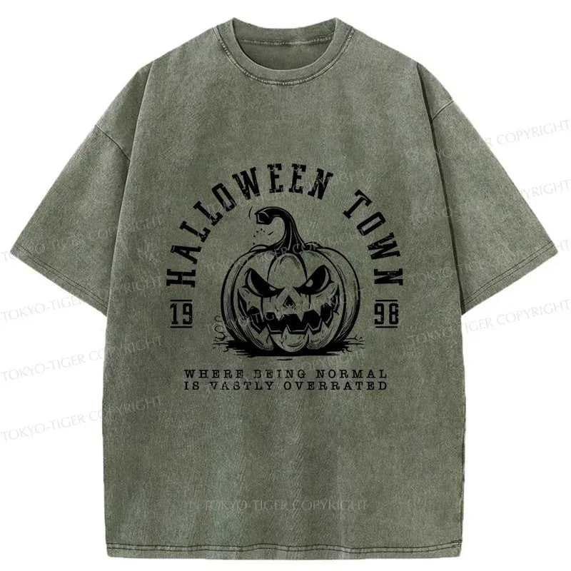 Kyoto-Lion Unisex T-Shirt for Daily Wear