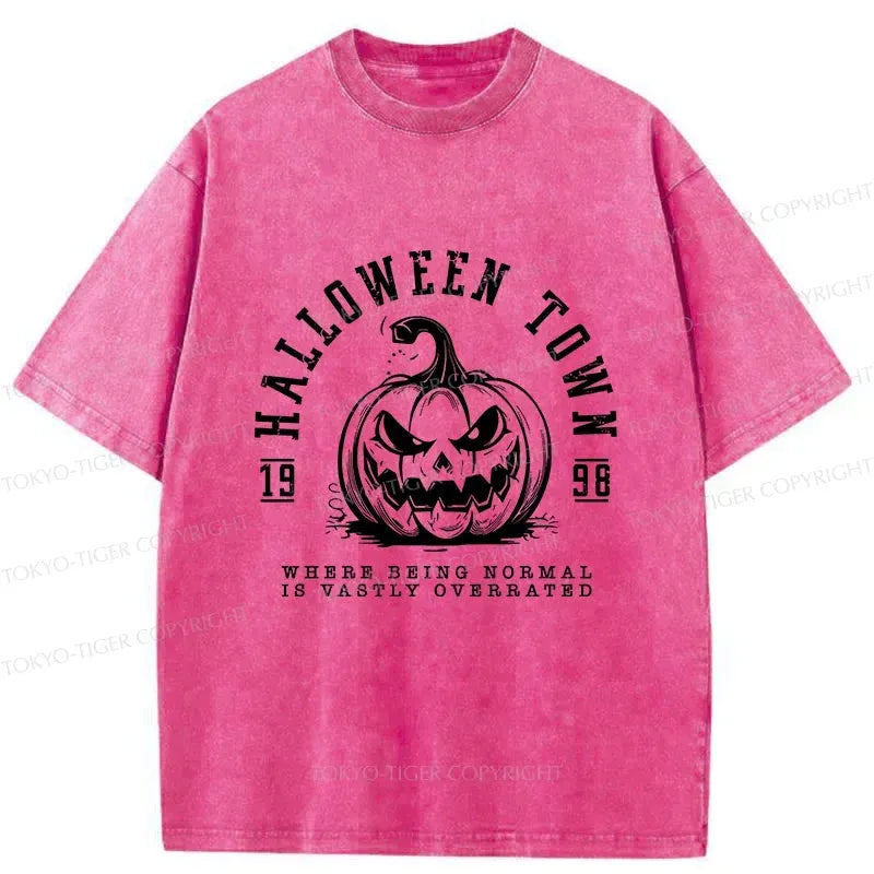 Kyoto-Lion Unisex T-Shirt for Daily Wear
