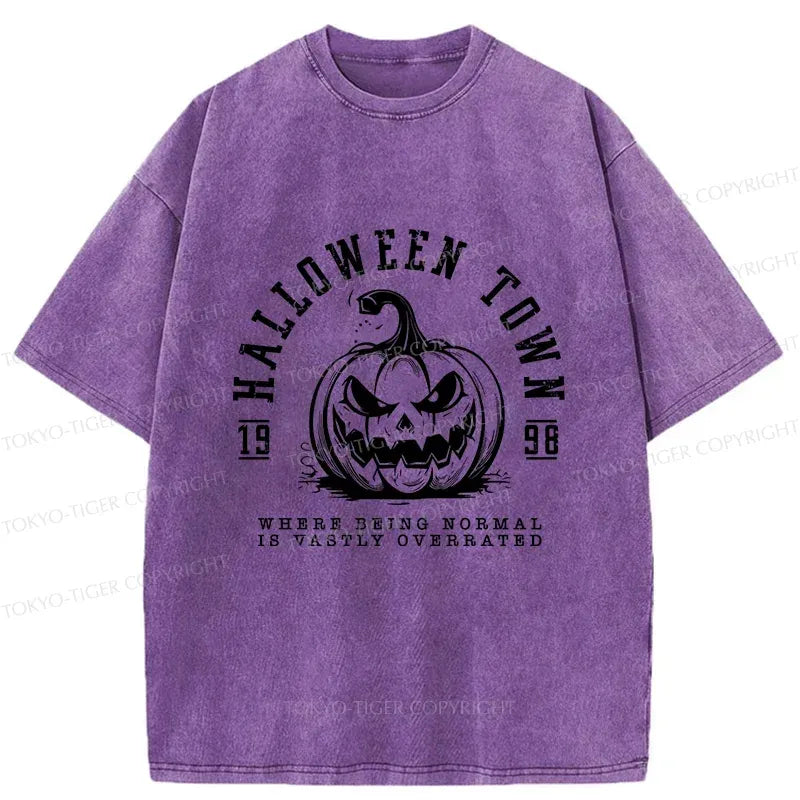 Kyoto-Lion Unisex T-Shirt for Daily Wear