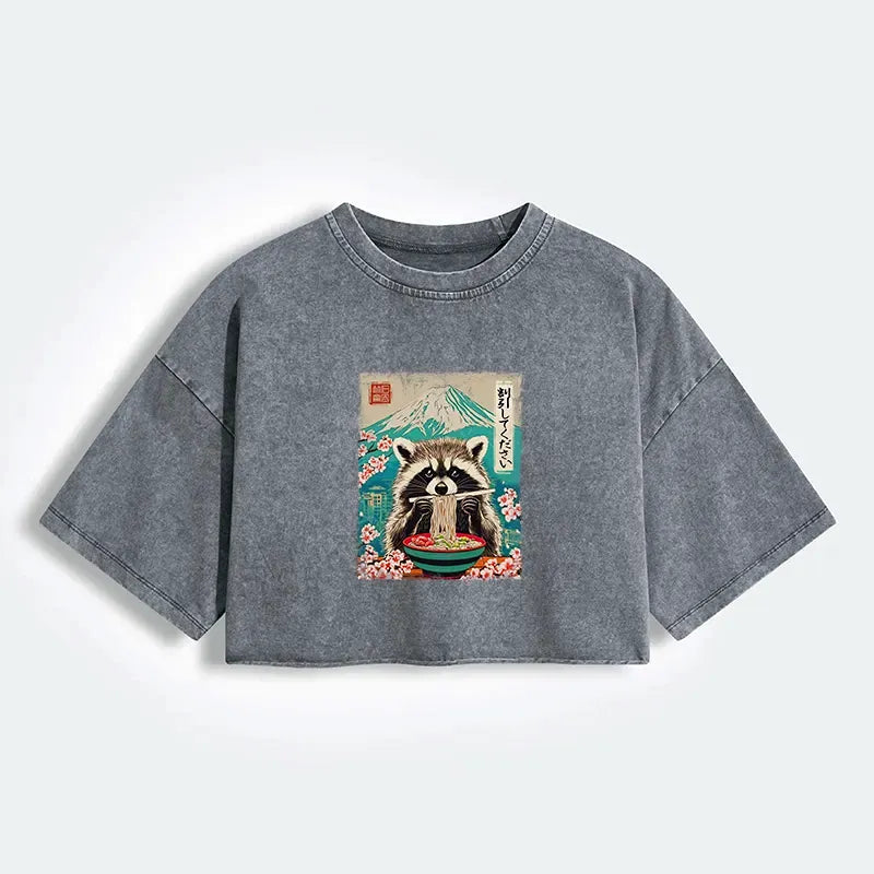 Raccoon Discount Japanese Streetwear Tee
