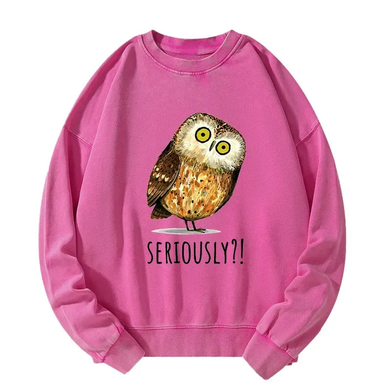 Funny Owl Sweatshirt for Gift Idea