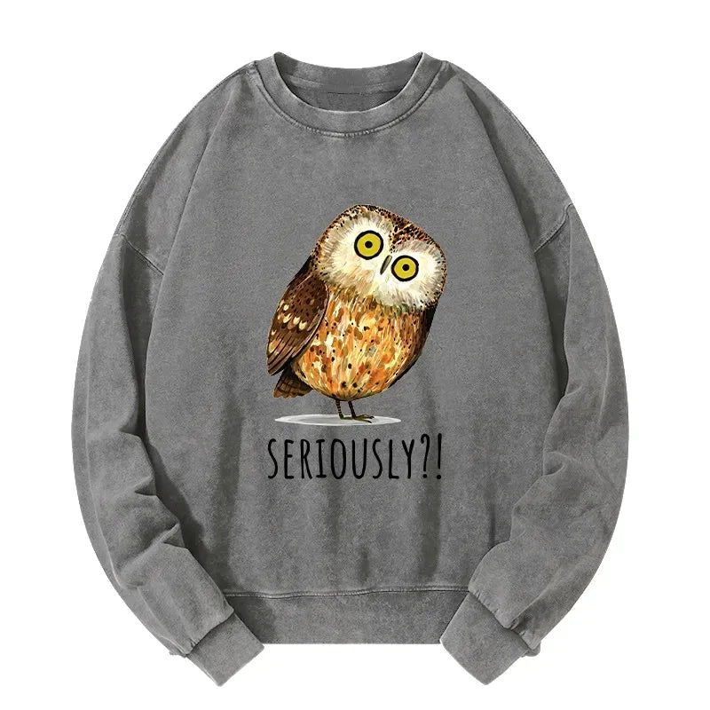 Funny Owl Sweatshirt for Gift Idea
