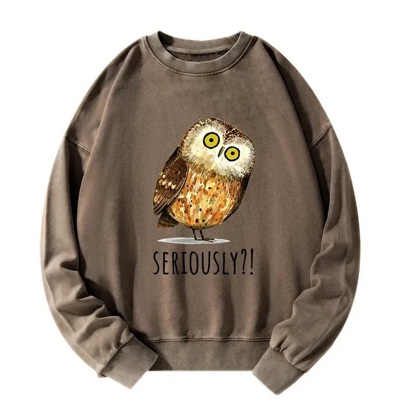 Kyoto-Lion Seriously Confused Owl Meme Art Washed Sweatshirt