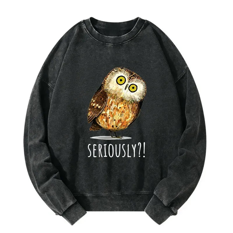 Funny Owl Sweatshirt for Gift Idea