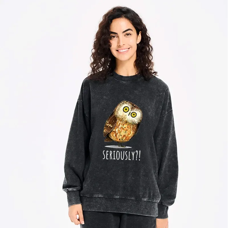 Kyoto-Lion Seriously Confused Owl Meme Art Washed Sweatshirt