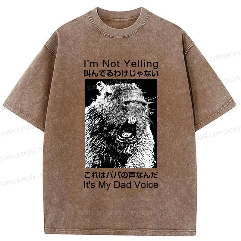 japanese vintage washed t-shirt for dad