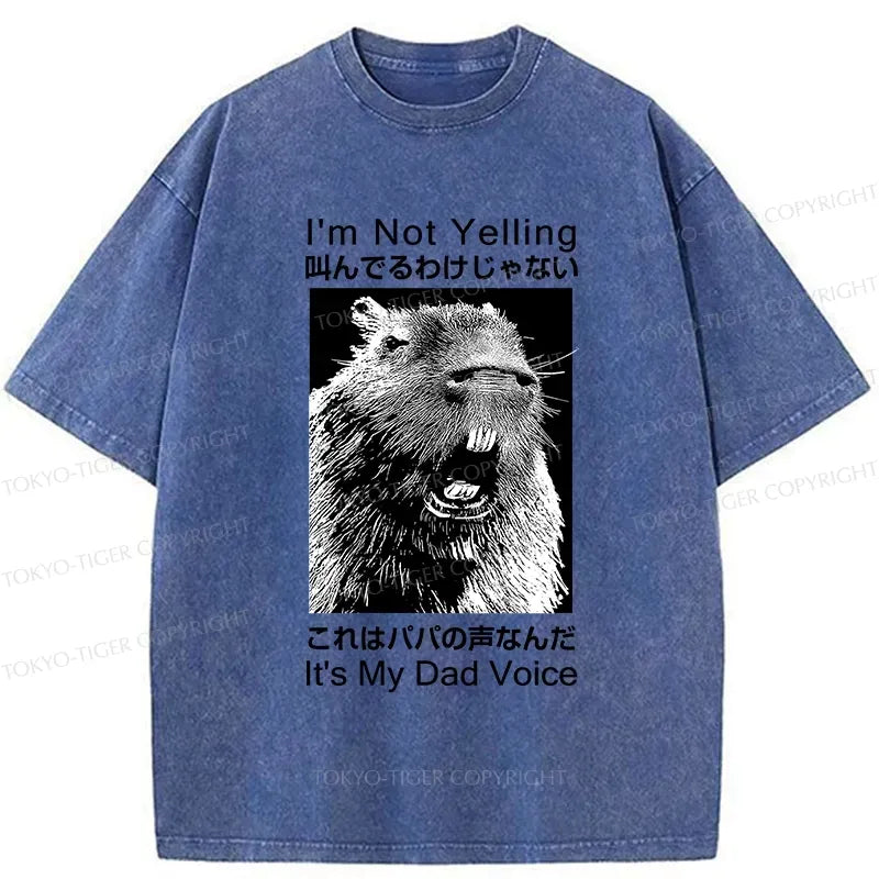 funny dad voice gift idea for him