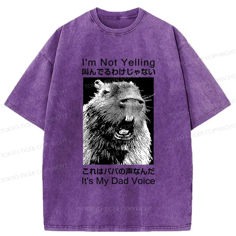 japanese vintage washed t-shirt for dad