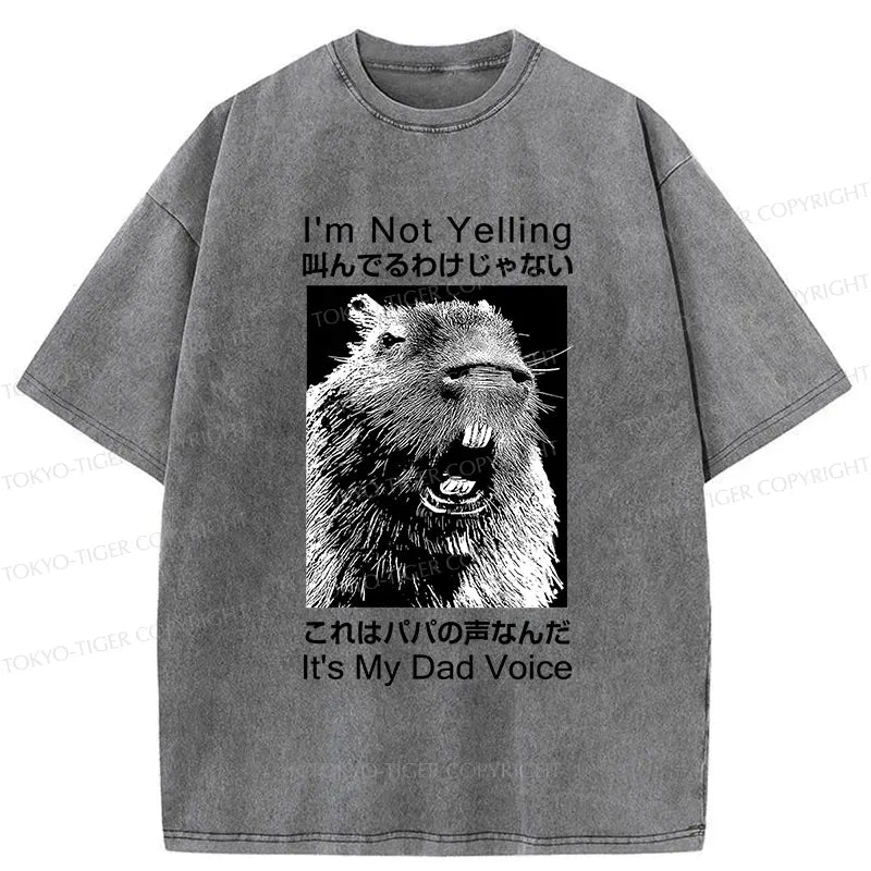japanese vintage washed t-shirt for dad
