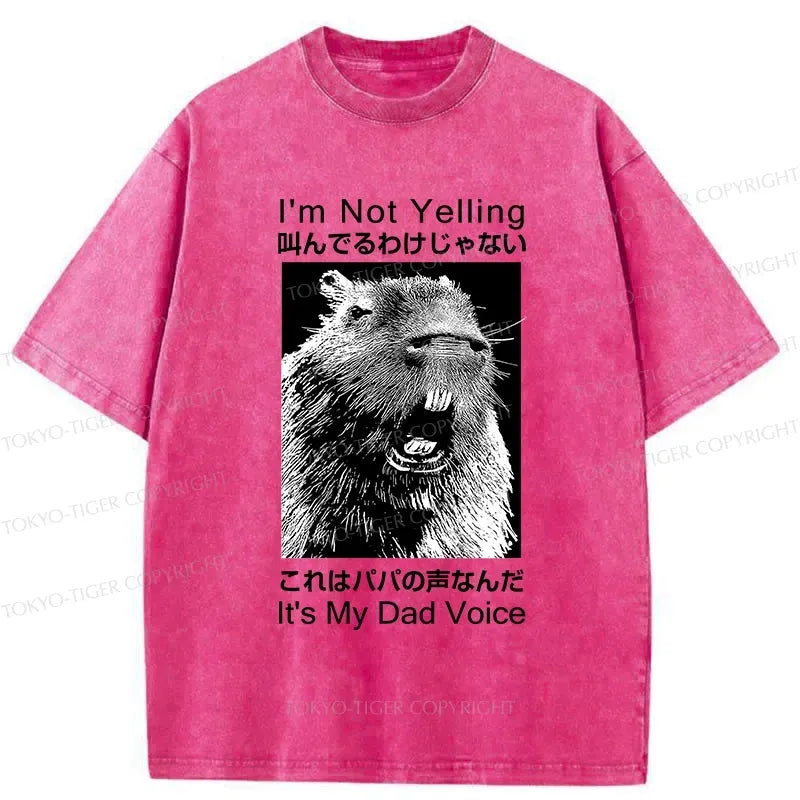 funny dad voice gift idea for him
