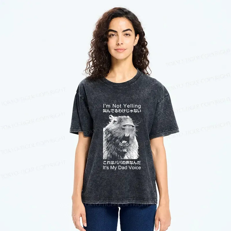 Kyoto-Lion Funny Dad Voice Washed T-Shirt