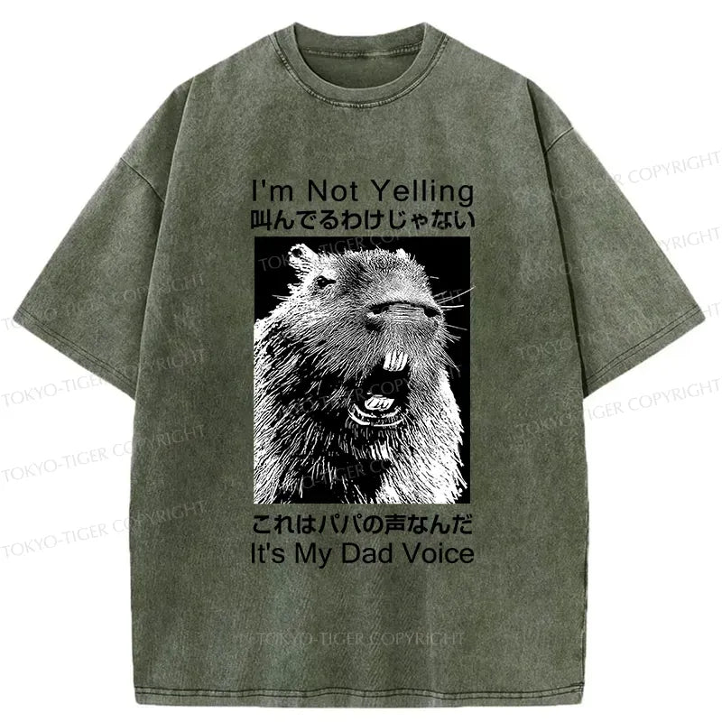 japanese vintage washed t-shirt for dad