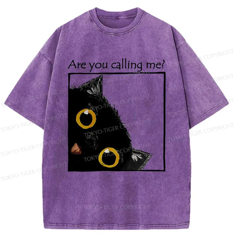 Cute Kitten T-Shirt Free Shipping