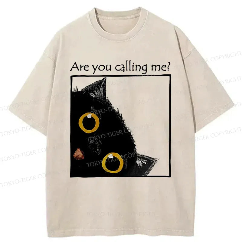 Kyoto Lion Washed T-Shirt for Summer