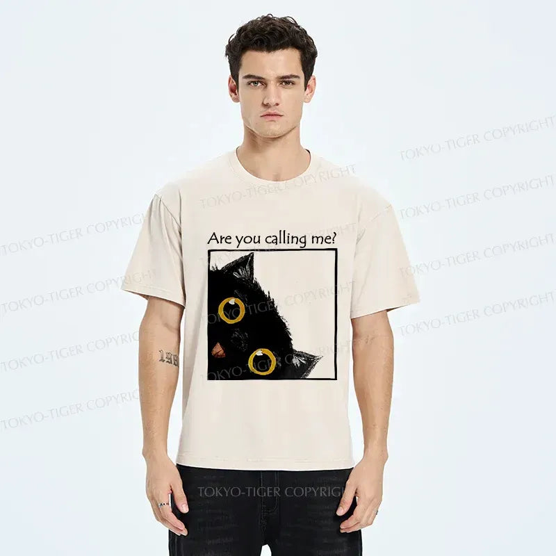 Kyoto Lion Washed T-Shirt for Summer