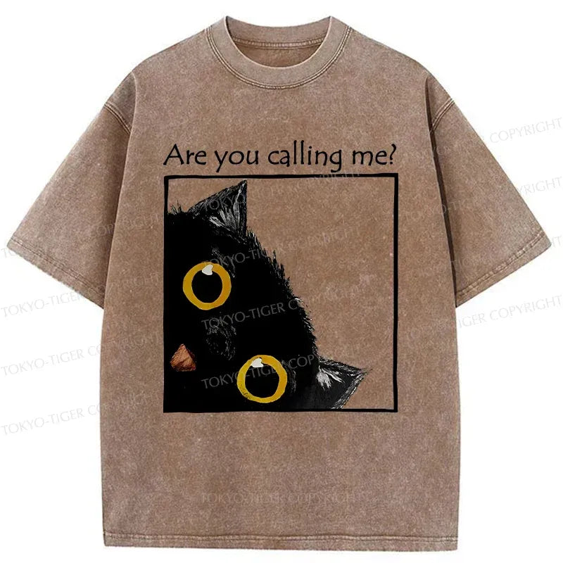 Kyoto-Lion Silly Kitten Washed T-Shirt