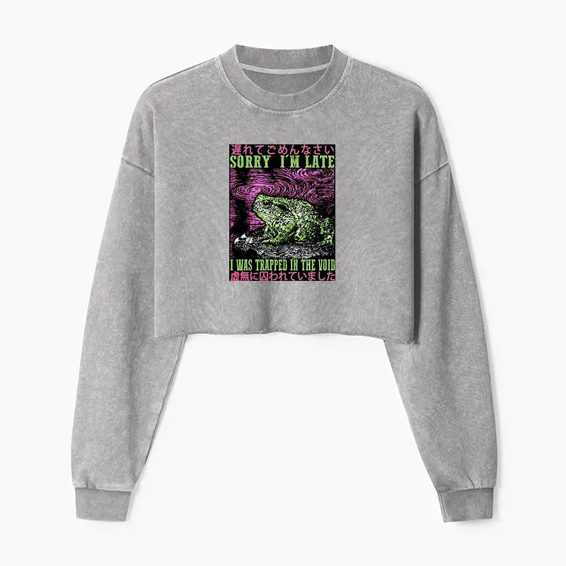 Kyoto-Lion Frogs Trapped In The Void Washed Crop Sweatshirt