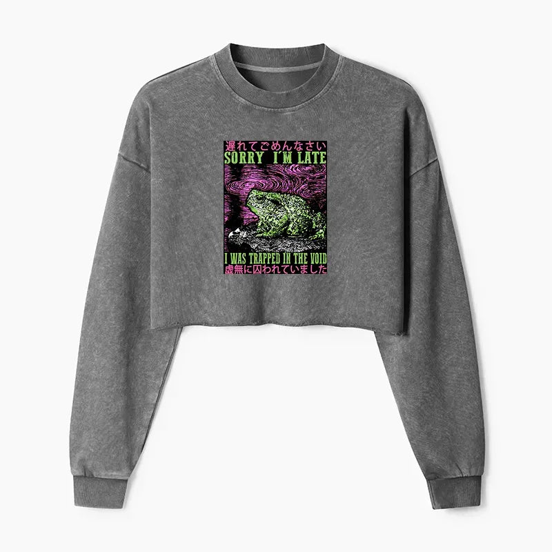Kyoto-Lion Frogs Trapped In The Void Washed Crop Sweatshirt