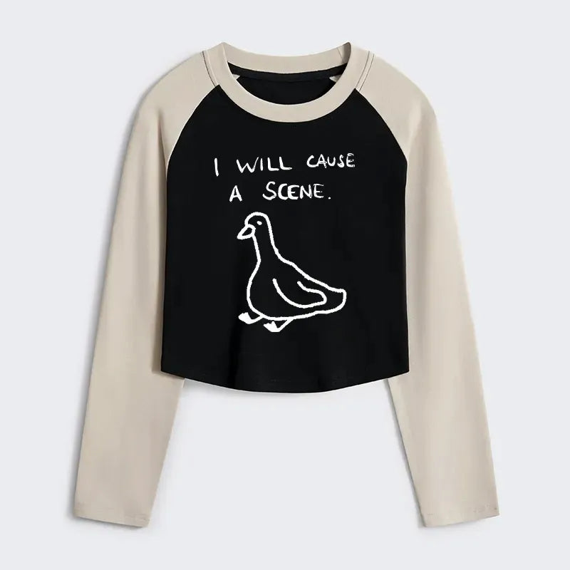 Stupid goose vintage raglan shirt
