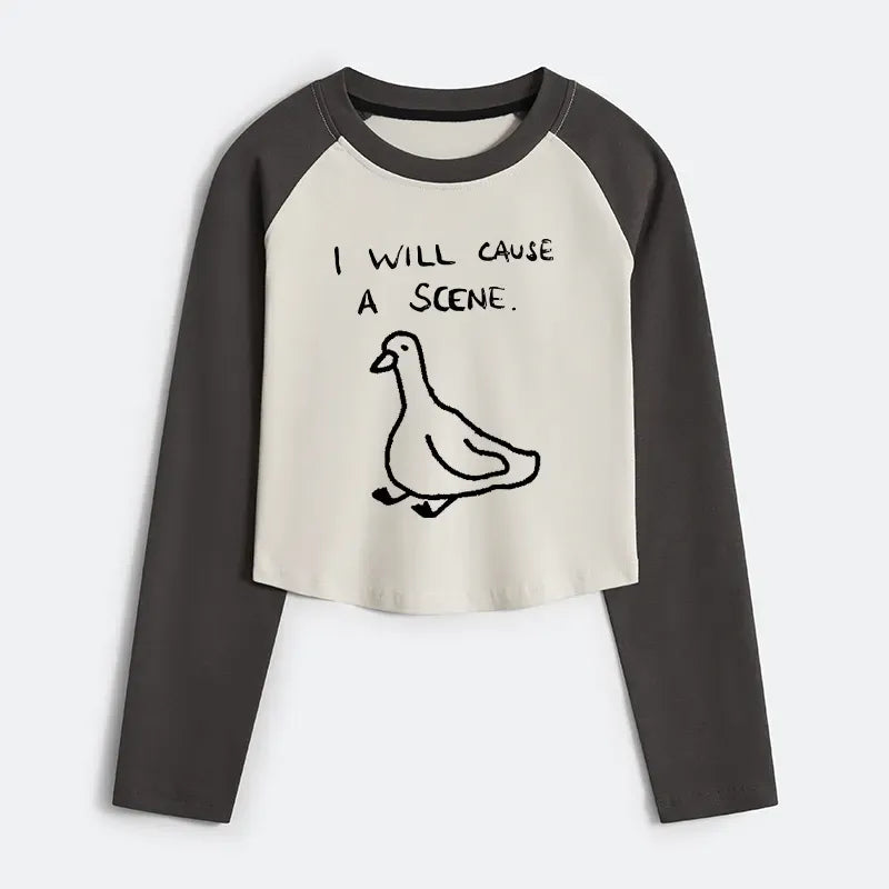 Stupid goose vintage raglan shirt