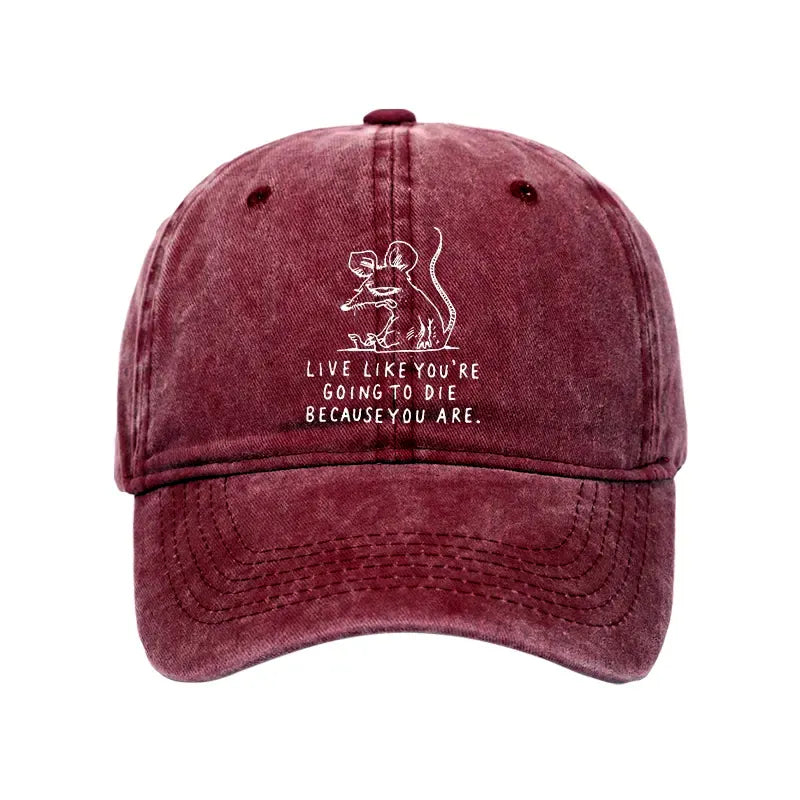 Kyoto-Lion Funny Meme Sarcastic Rat Life Truth Washed Cap